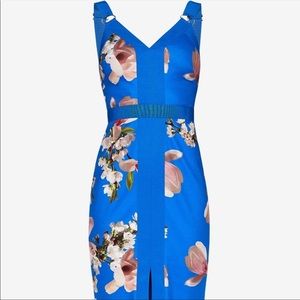 Ted baker London blue harmony floral dress